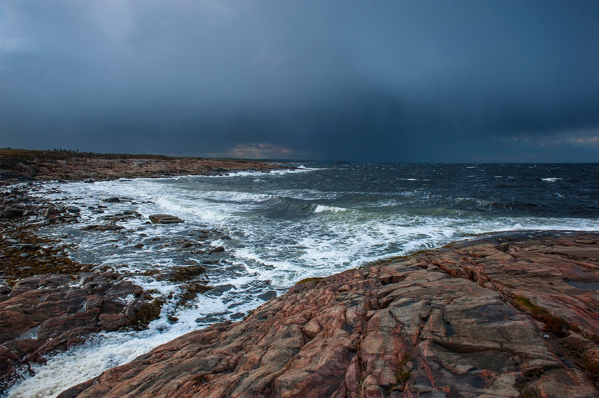 Фото Виталий Зайцев