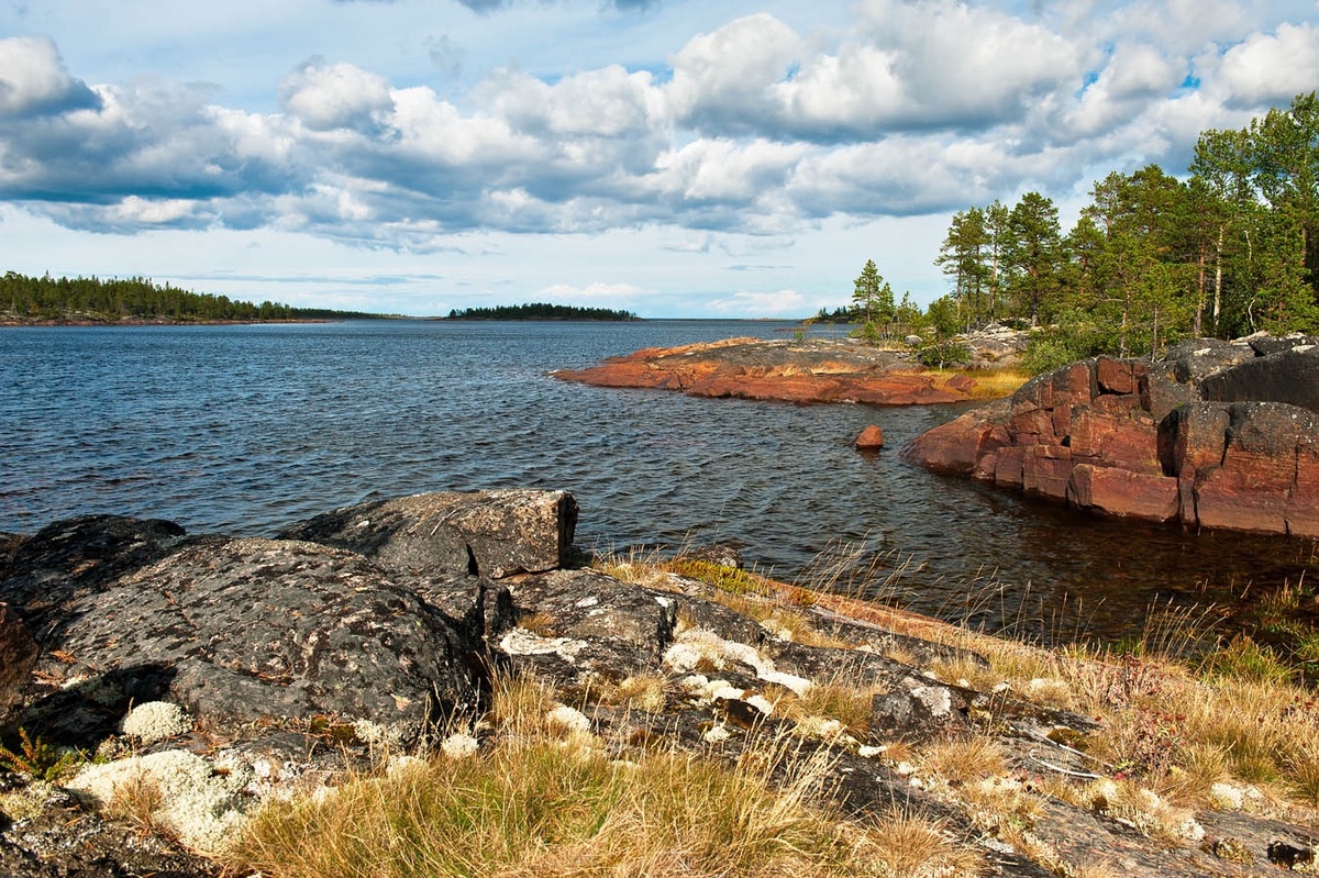 Фото Виталий Зайцев