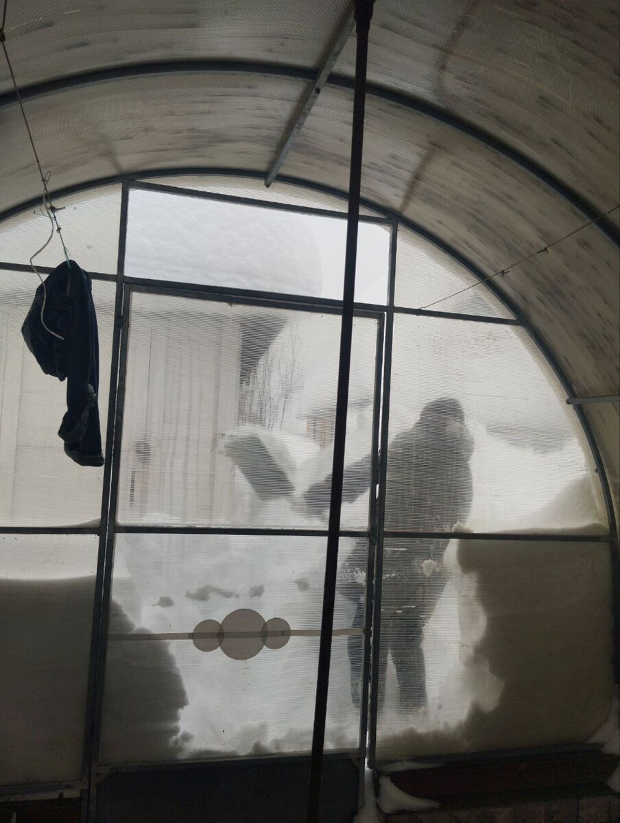 Друг пробрался на дачу, чтобы почистить теплицу от снега. февраль 2026 год