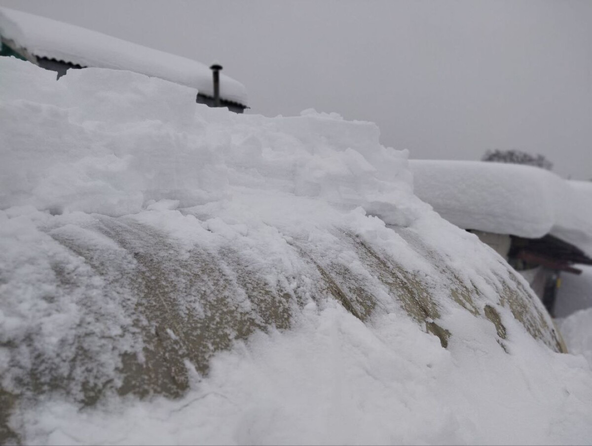 Друг пробрался на дачу, чтобы почистить теплицу от снега, февраль 2026 год