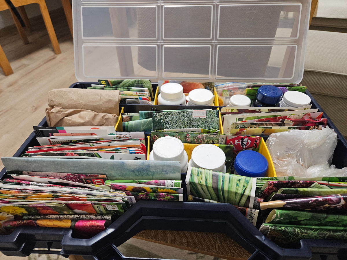 Семена по ячейкам