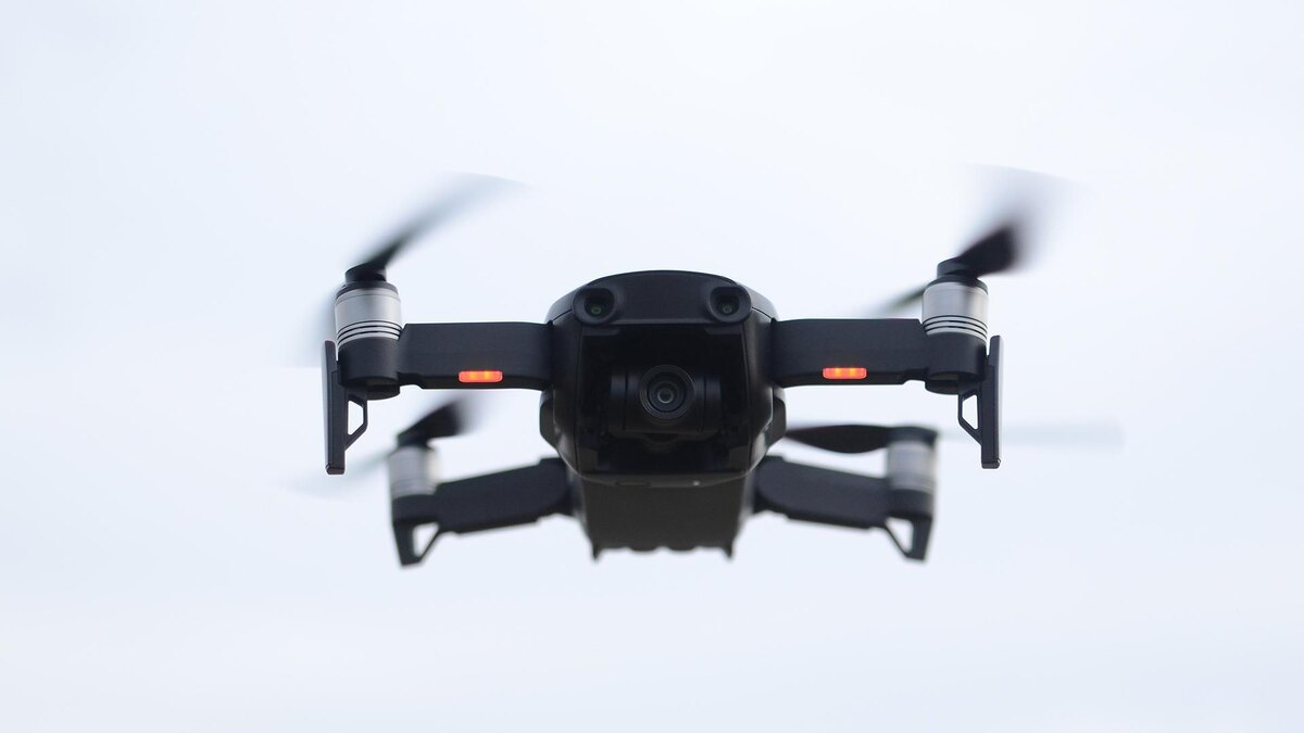    Фото: freepik.com/wirestock