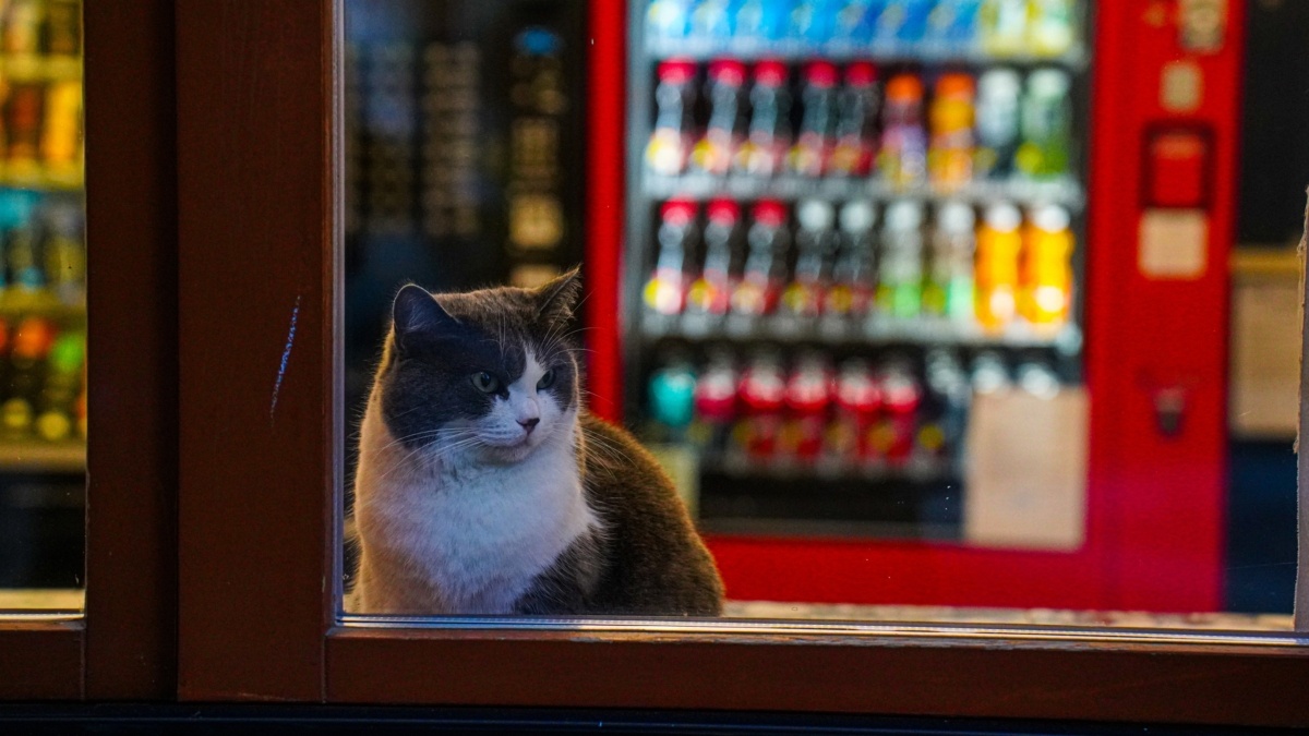 Светлана Мулыкина📷
