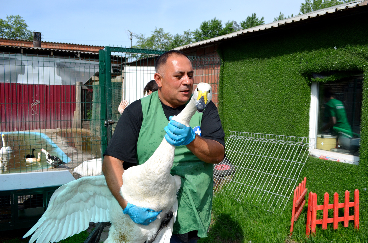 Приют "Спаси Меня" , Челябинск