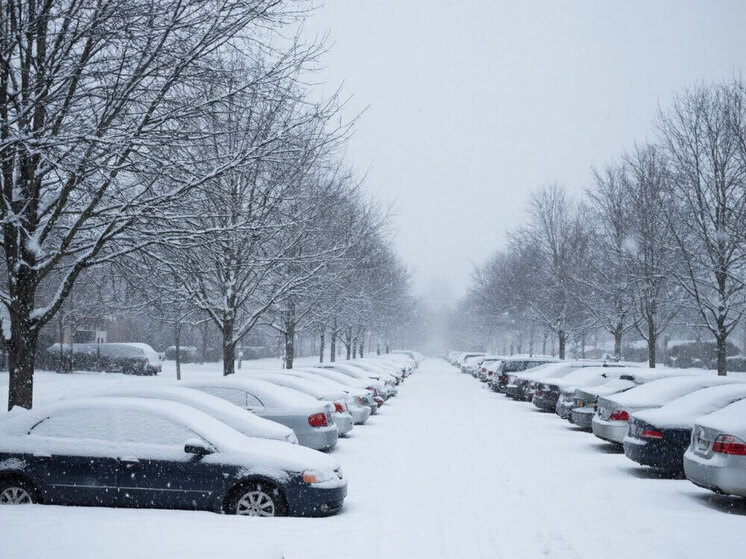     Фото: сгенерировано нейросетью Yandexart