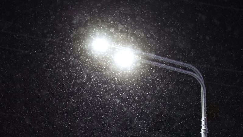    Фото: Андрей Ткачев/«Ямал-Медиа»