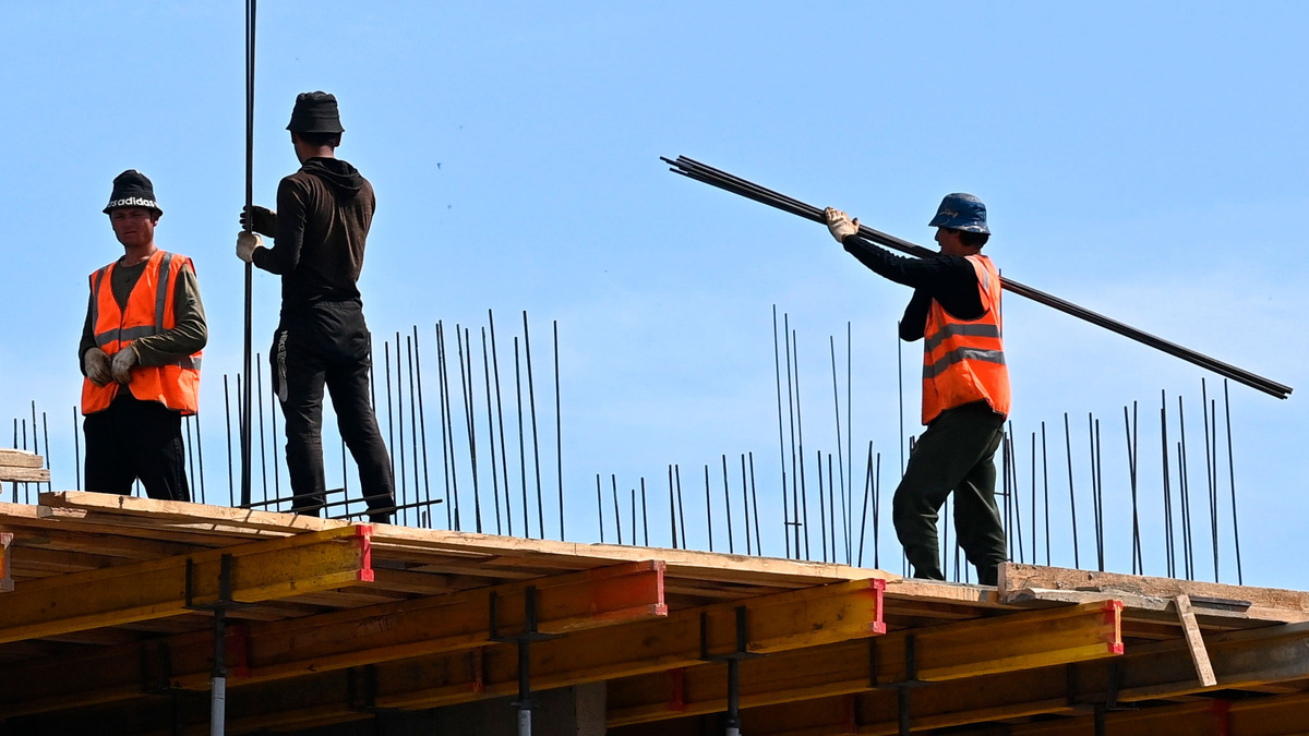    стройка строительство стройматериалы РИА