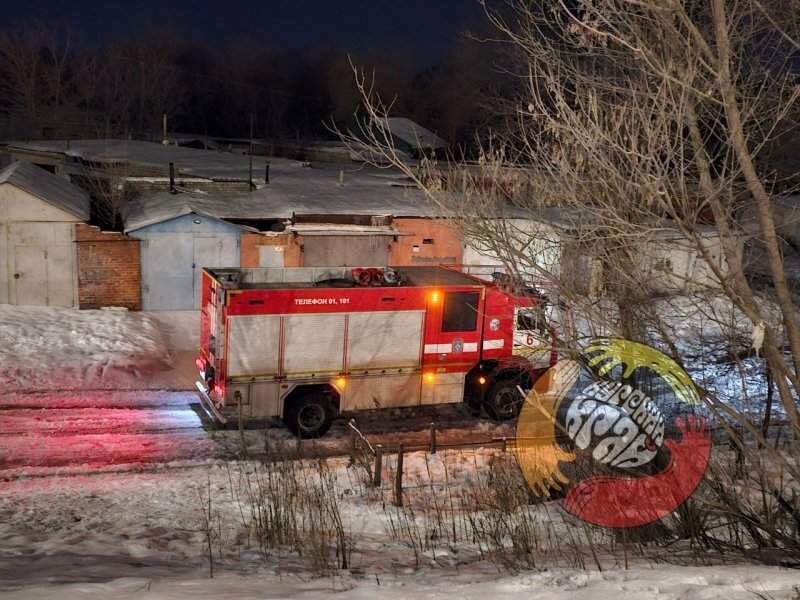    Фото: "Курский край"