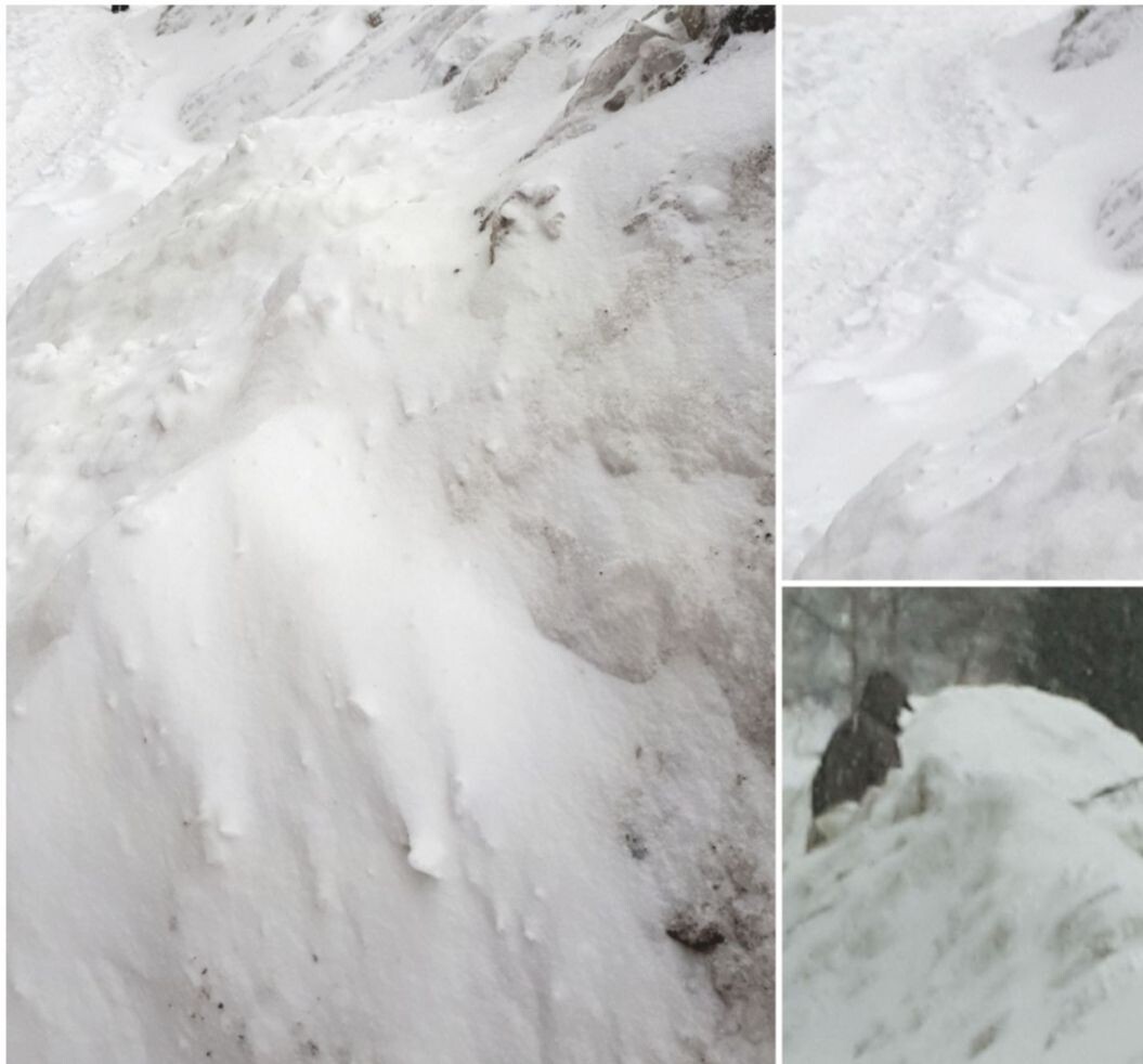 Коллаж автора статьи 19.02.2026г.