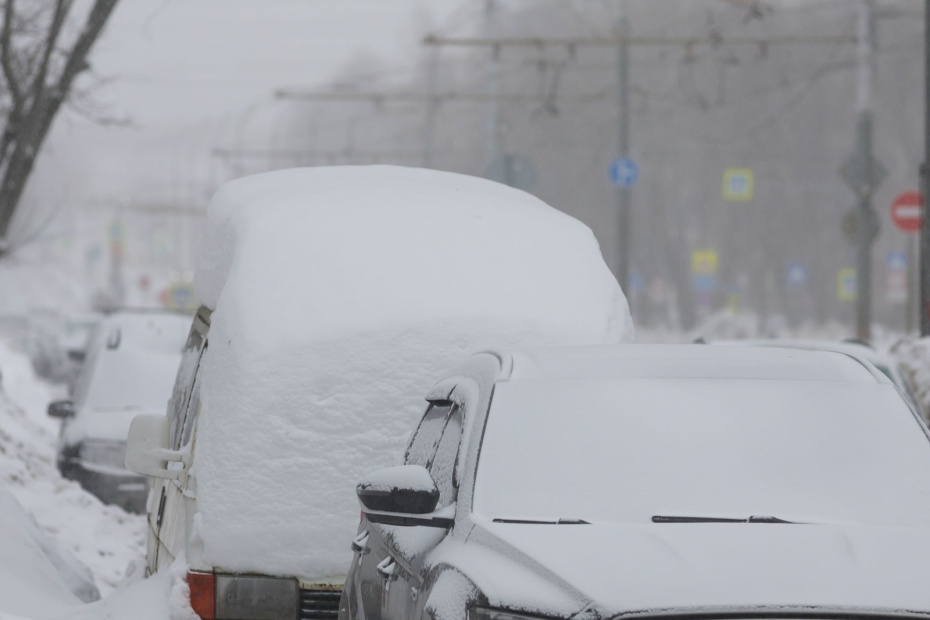    Наталья Шатохина/NEWS.ru