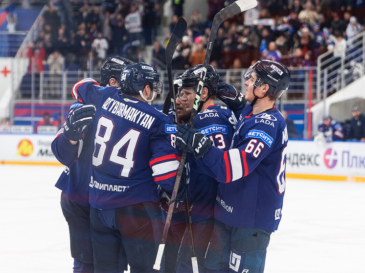     Фото: Андрей Холмов/ХК «Лада»