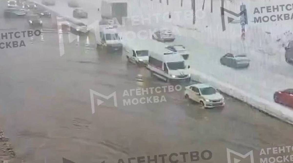    Фото: Скриншот видео / АГН «Москва» / Telegram