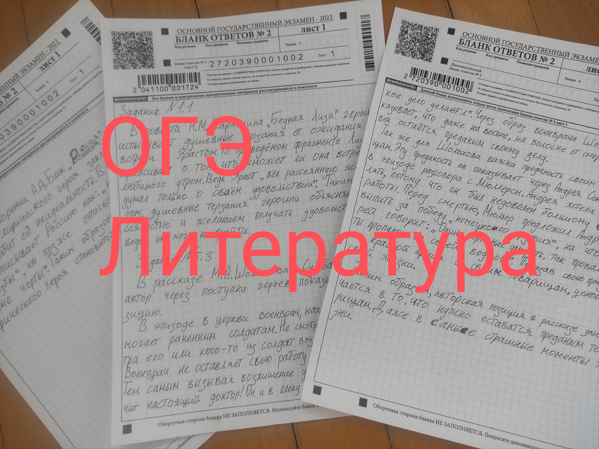 Вот так выглядит ОГЭ по литературе. Тестов здесь и близко нет. 