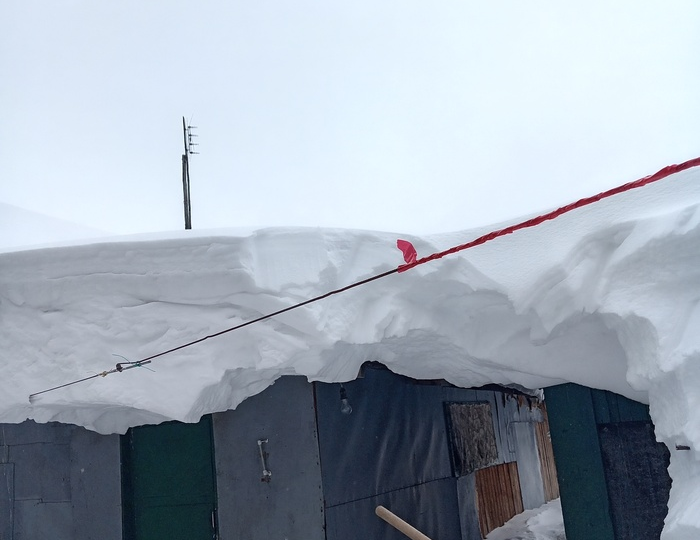 Новости про дачу