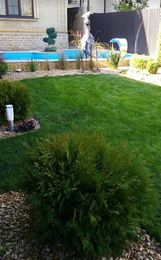 Фото собственных работ из личного архива. 