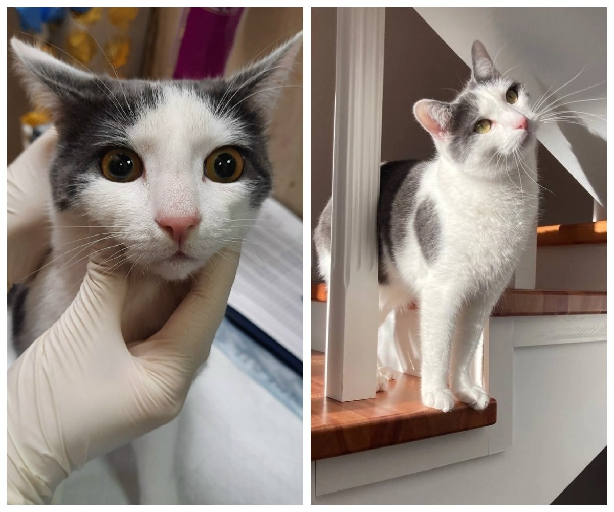 Томиус – выпускник приюта.