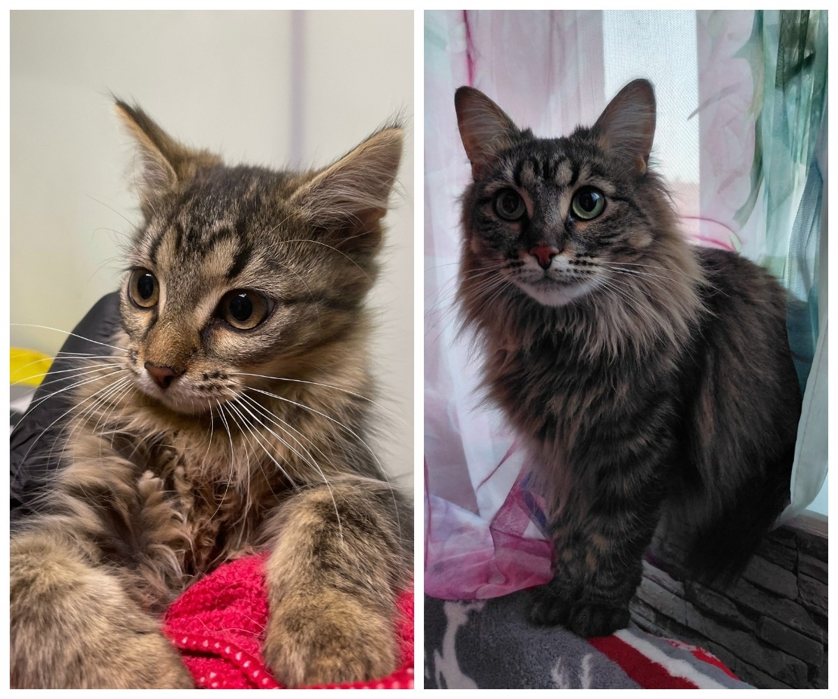 Виорика – выпускница приюта.