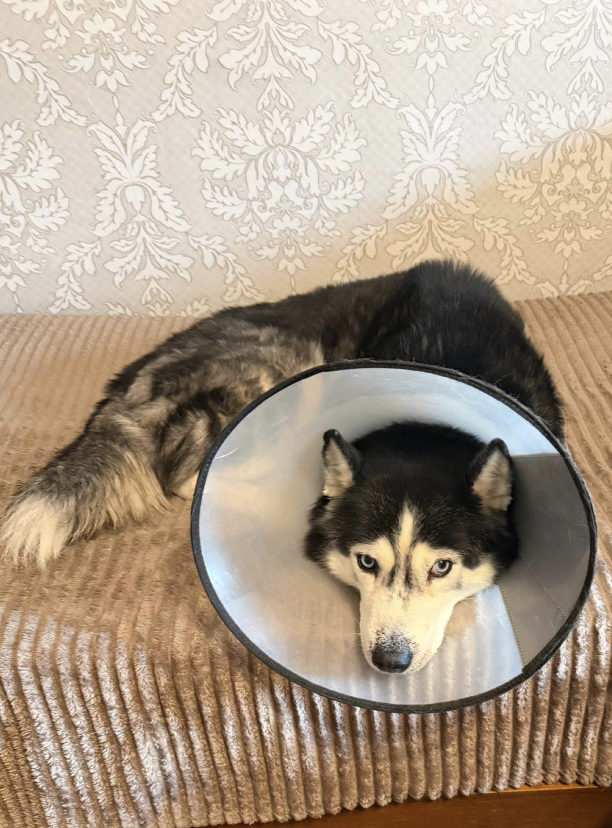 Пациент вполне жив