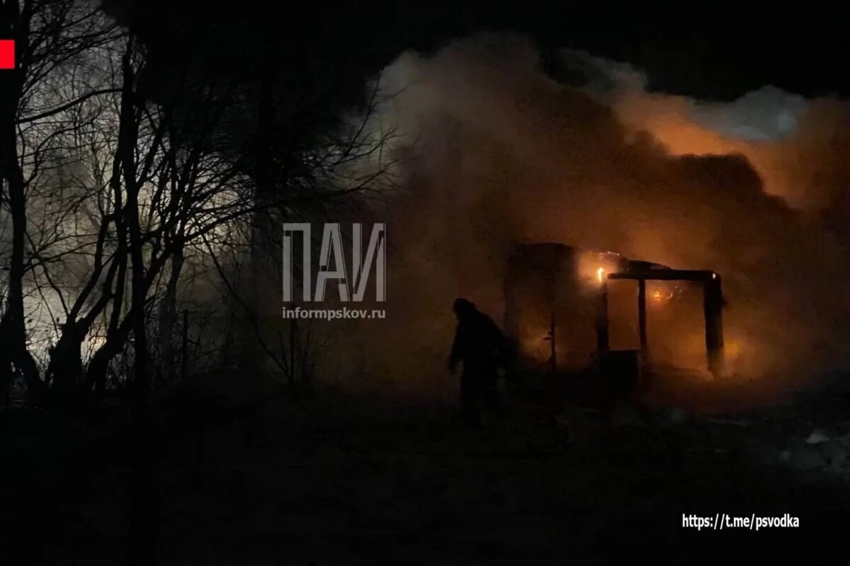    Женщина и ребенок погибли на пожаре в жилом доме в островской деревне