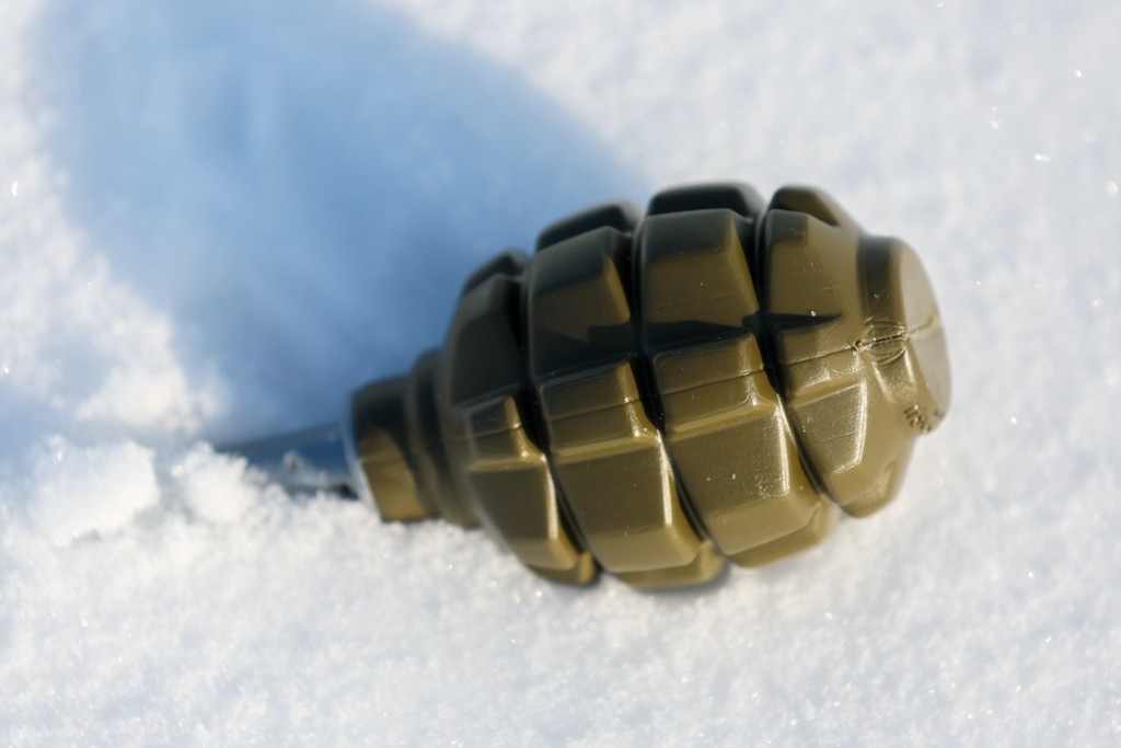    Фото © Дмитрий Ягодкин / ТАСС