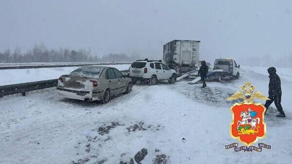    © ГУ МВД России по Московской области