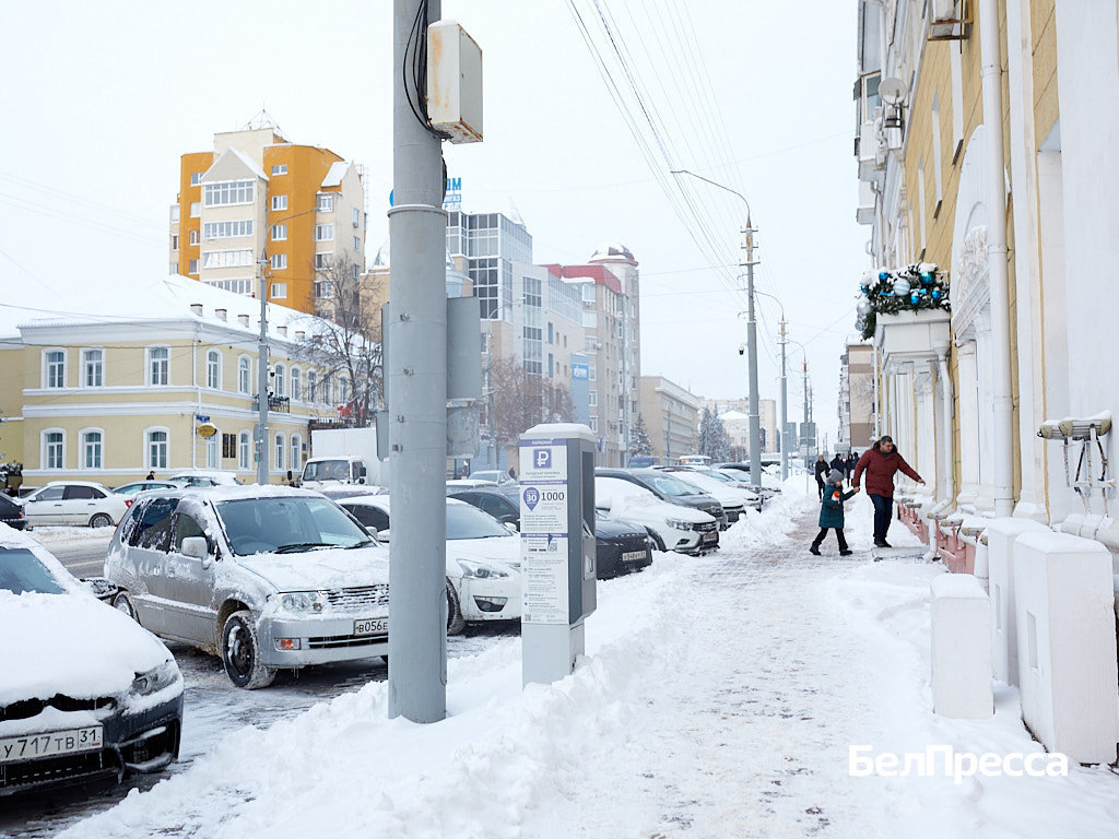     Фото: Елена Журавлёва (архив)