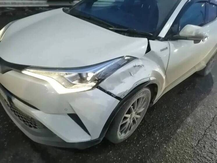     Фото: пресс-служба Госавтоинспекции Абакана