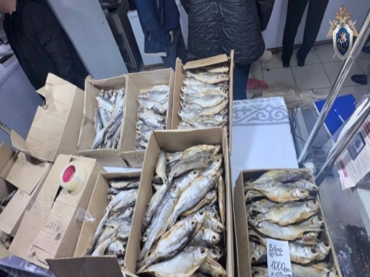   пресс-служба Следственного комитета Астраханской области