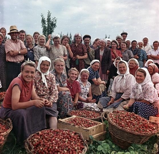 Памяти людей труда: снимки колхозов СССР