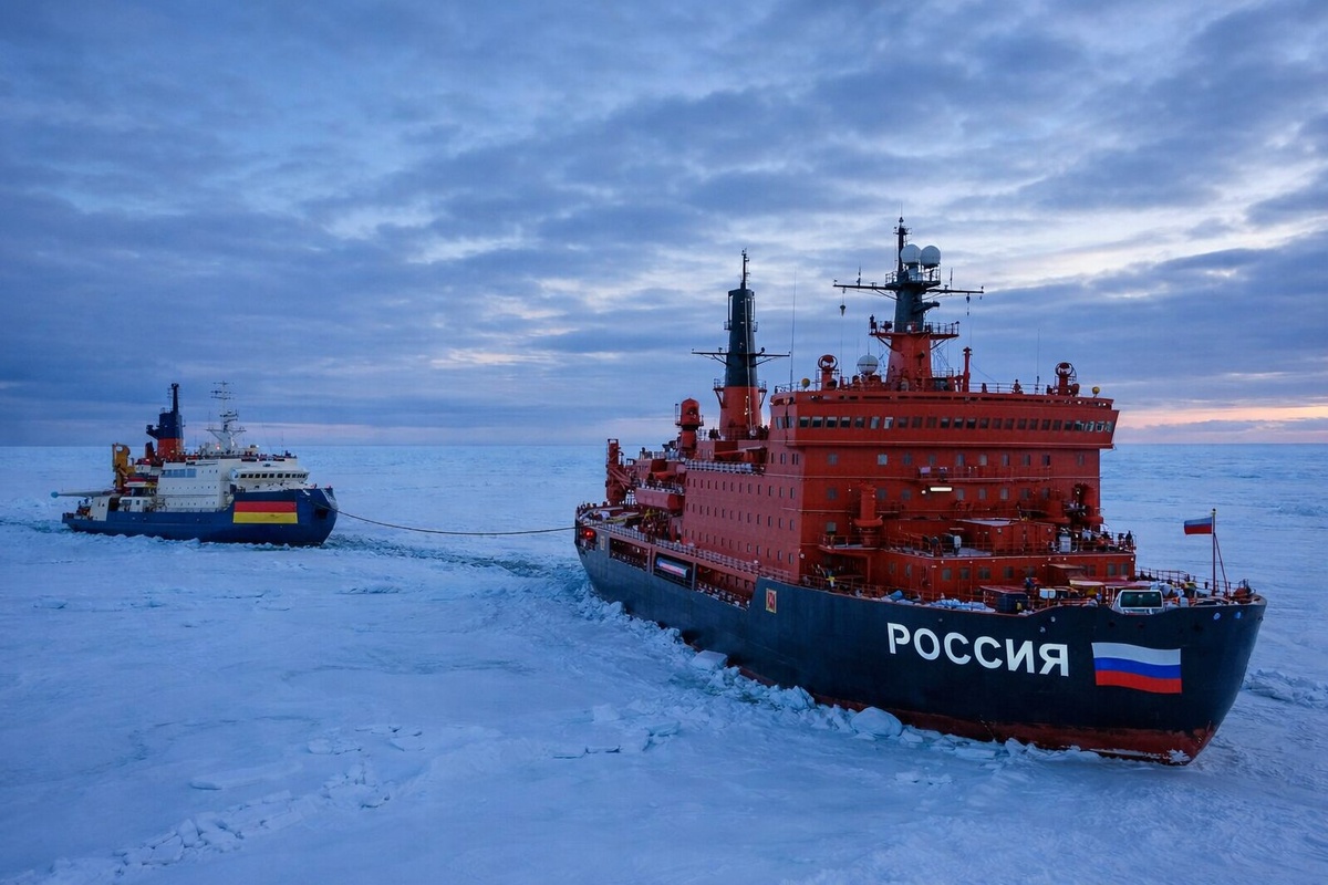    Фото: Коллаж RuNews24.ru