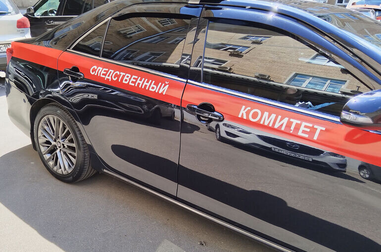   Алина Цыганова/«Парламентская газета»