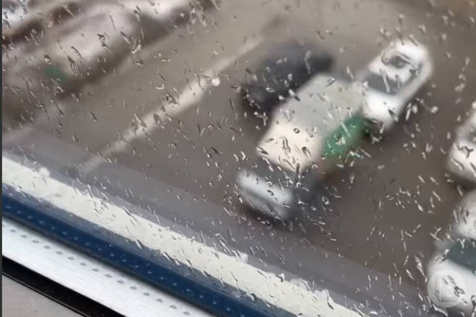    Фото: "Городские вести"