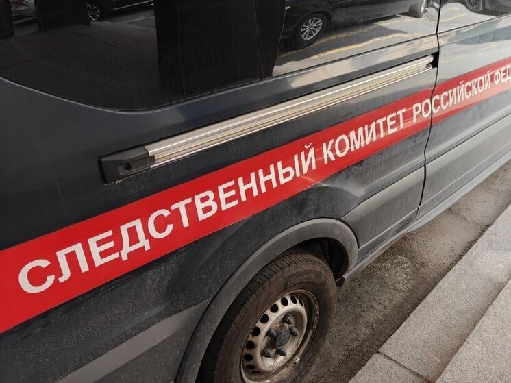     Ранее они пропали в Петербурге, по факту исчезновения возбудили уголовное дело. Фото из архива "МК в Питере"
