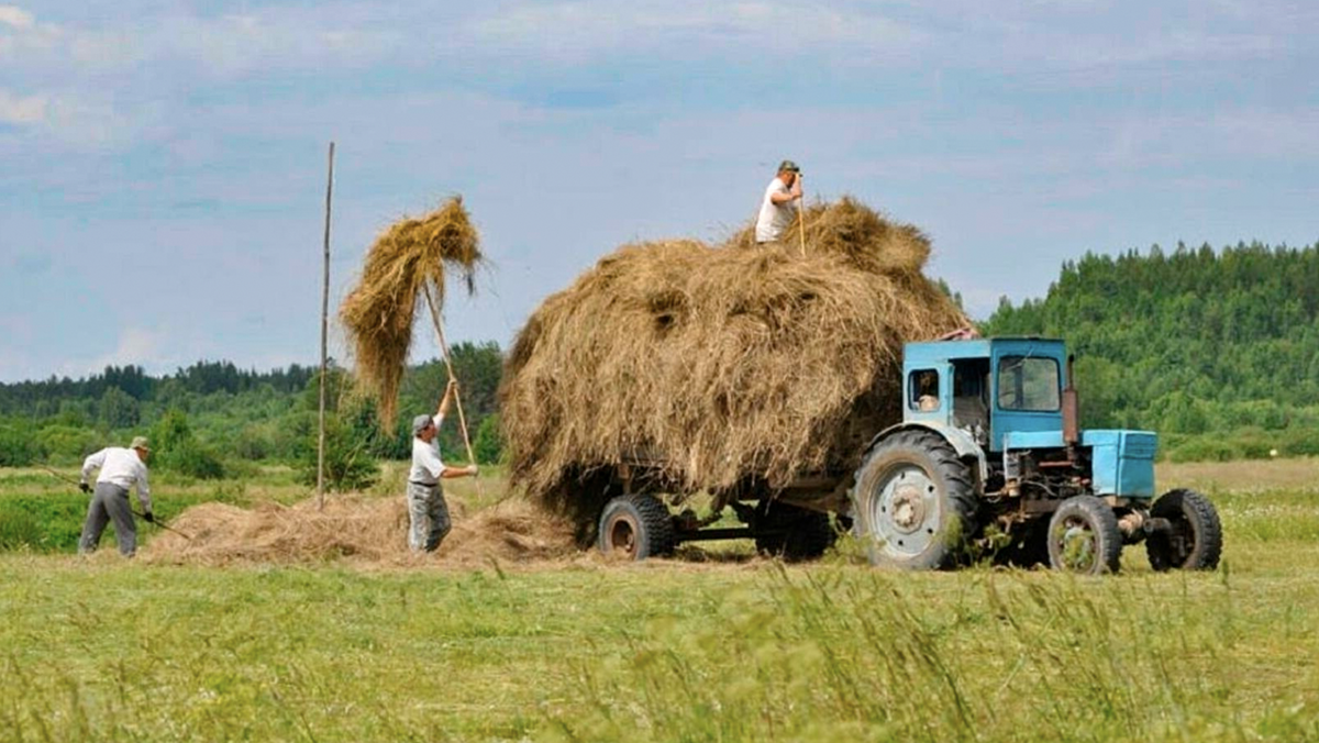 Фото с просторов интернета