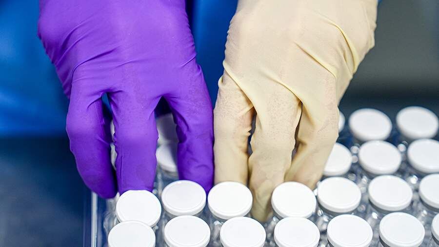    Фото: ИЗВЕСТИЯ/Эдуард Корниенко