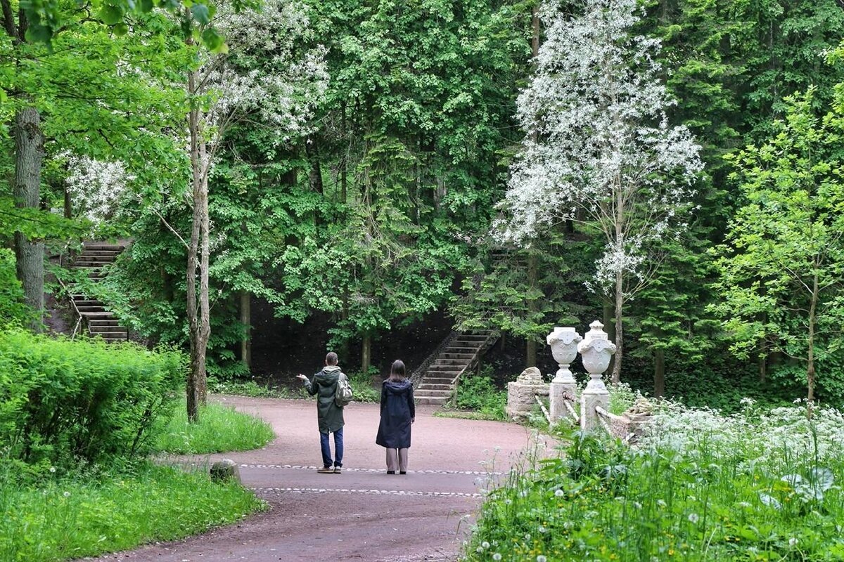 Фото Яндекс Картинки