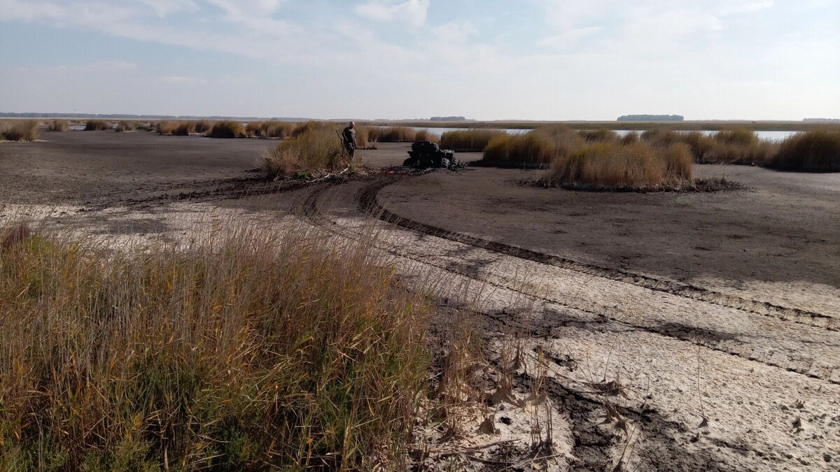    Сезон охоты — все? Кого ростовчанам нельзя будет добывать после 28 февраля?   1MI