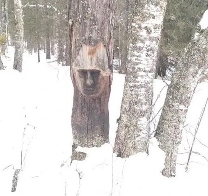    Фото: vk.com/npzuratkul