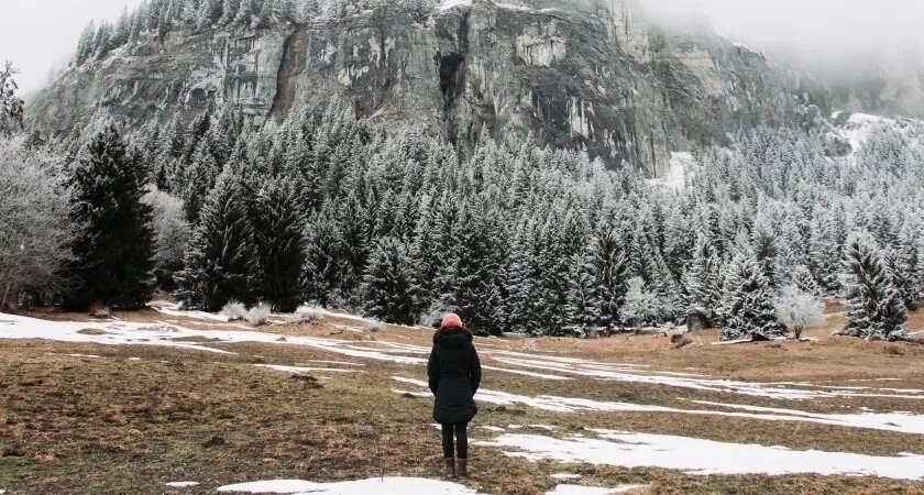    Изображение от wirestock на Freepik