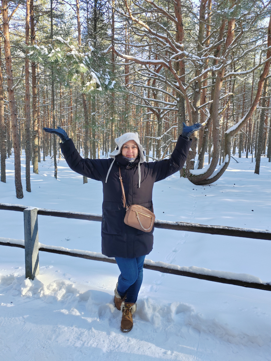 В танцующем лесу на Куршской косе