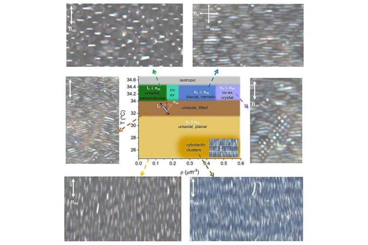    Температура и концентрация частиц «умной жидкости» контролируют самосборку в различные фазы.