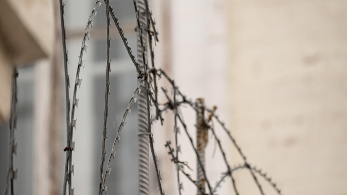    Фото: Ruslan Yarocky/globallookpress.com