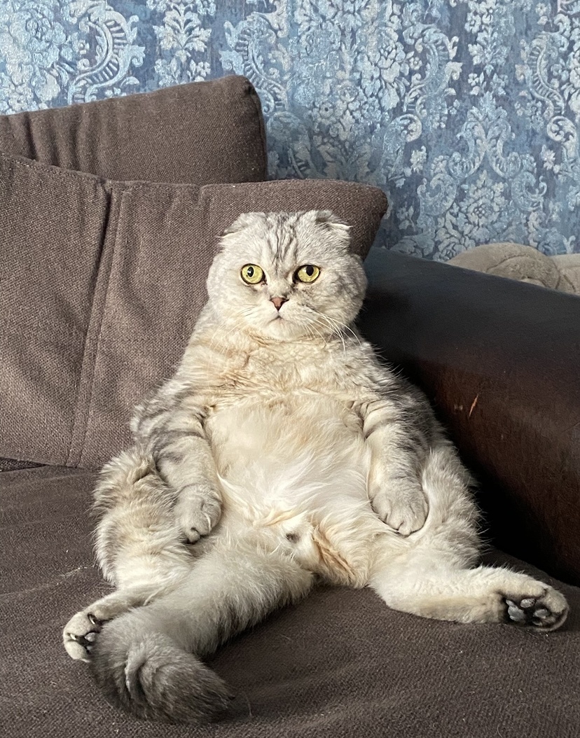 Из личного архива 