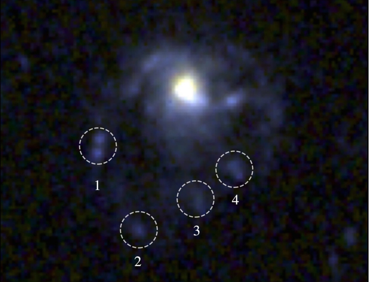    Галактика-медуза COSMOS2020-635829. Кругами отмечены молодые звезды в хвостах галактики.