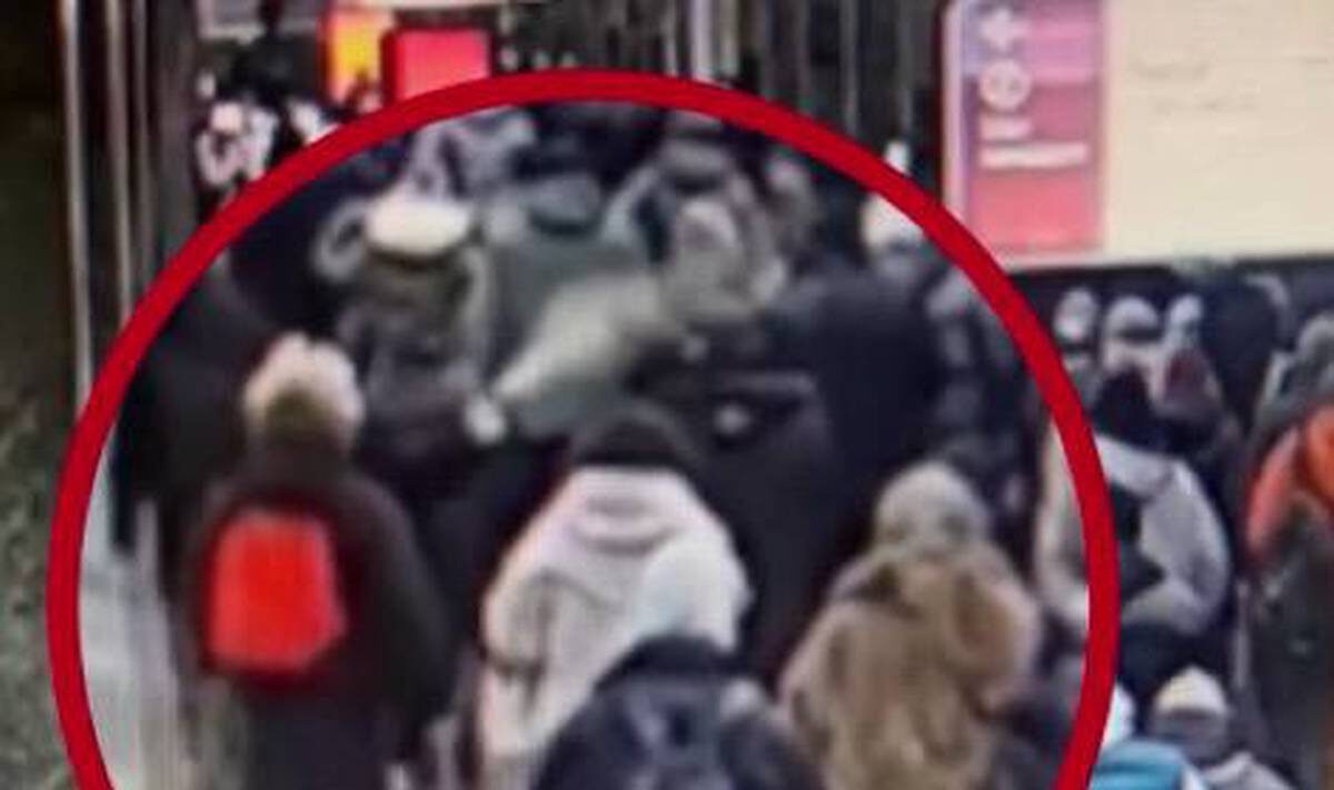    Фото: Скриншот видео / Пресс-служба ГУ МВД России по Москве