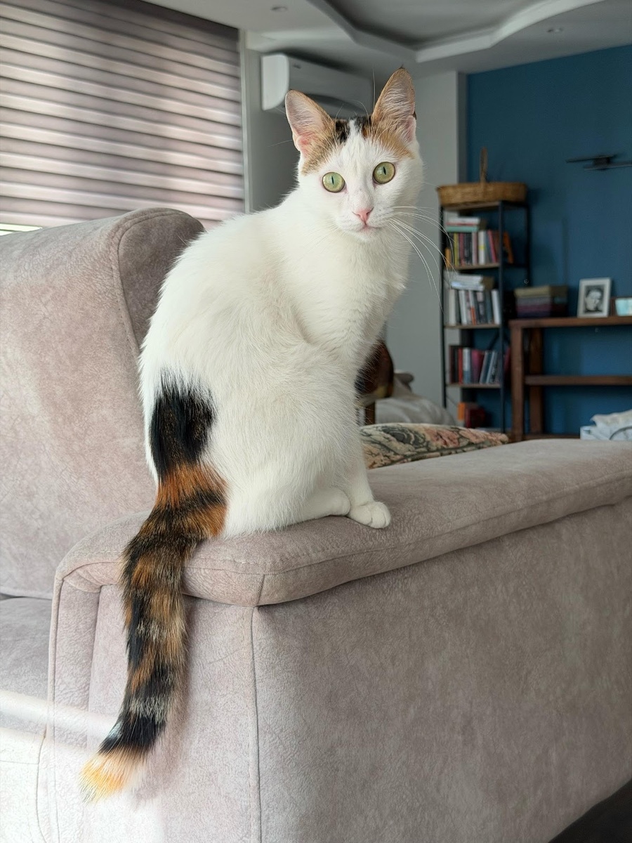 Я готова услышать твою версию. Потом расскажу свою