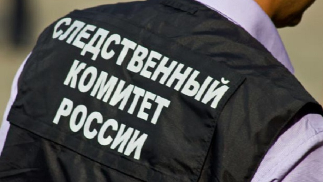 Фото: https://sledcom.ru/news/item/2063210/