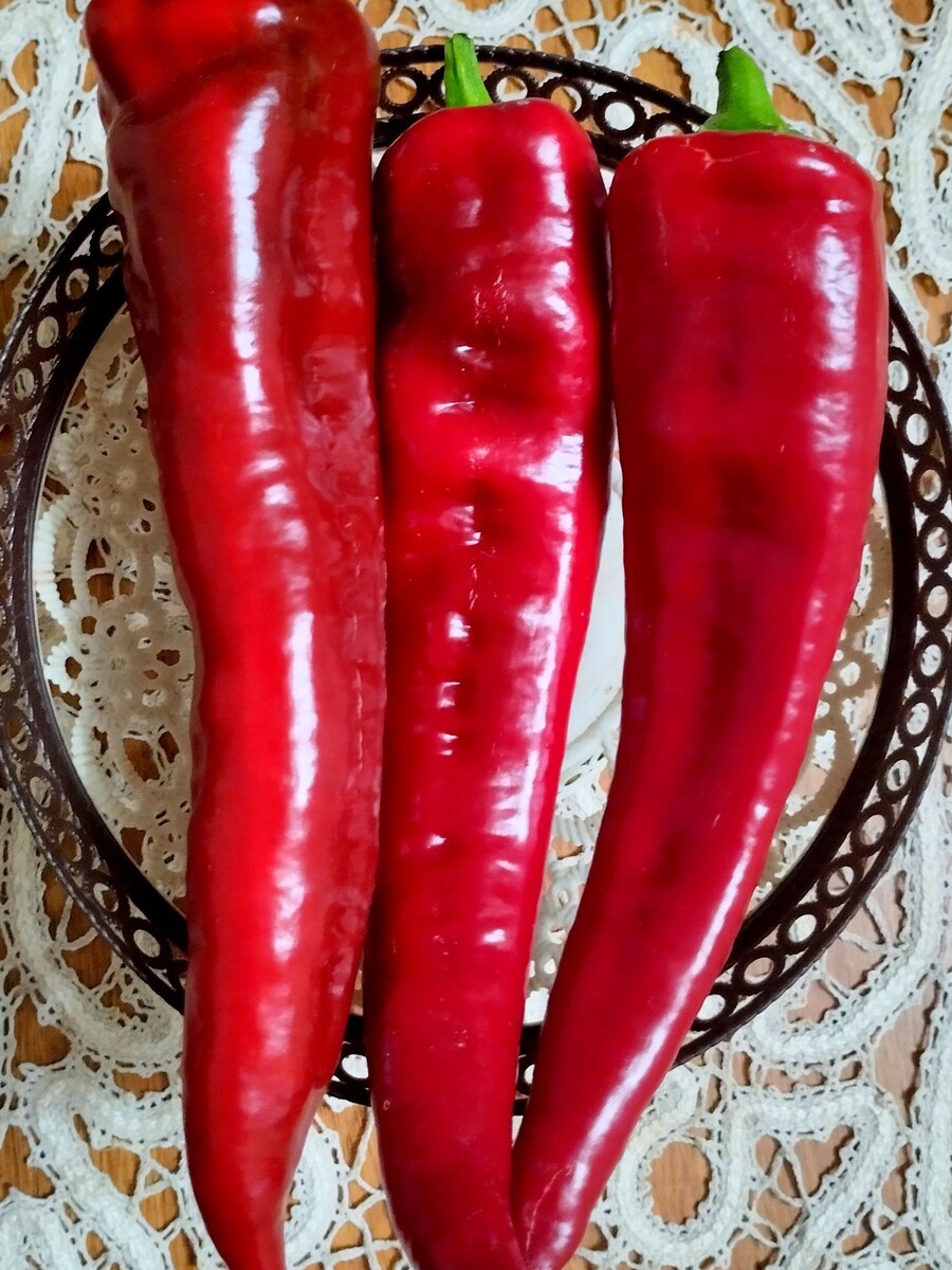 изображение из интернета