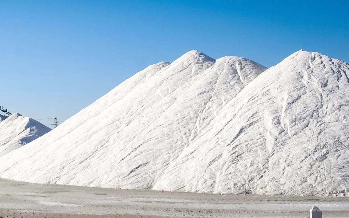    «Не мусор, а ресурс»: как Тамбовская область будет превращать фосфогипс в дороги и урожай фото: сайт РЭО