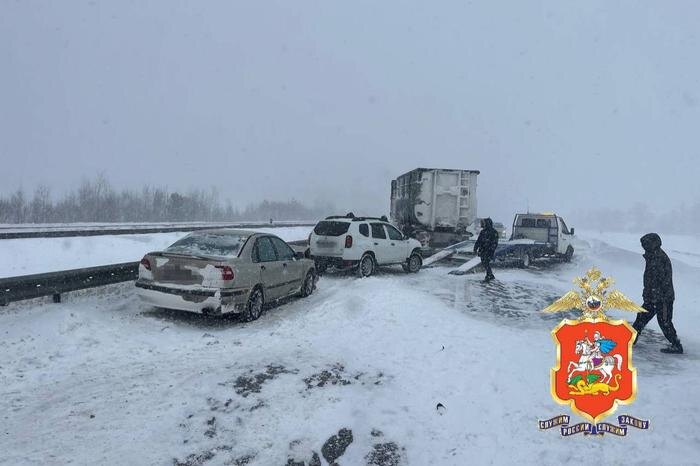 Обложка © Telegram / Подмосковная полиция